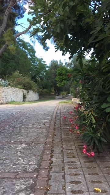 Tenuta Valle Della Corte Vieste Bagian luar foto