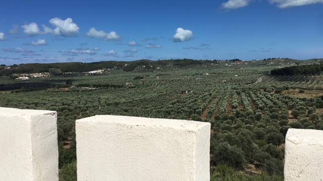Tenuta Valle Della Corte Vieste Bagian luar foto